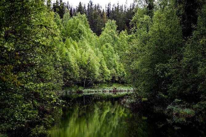 Explore the Wilderness (Summer & Autumn) - Key Things That Make This Tour Worth It