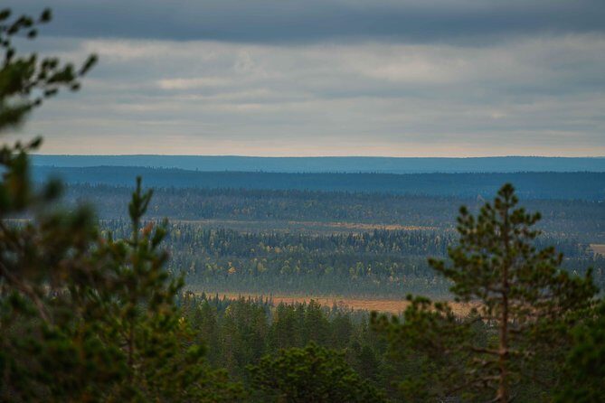 Explore the Wilderness (Summer & Autumn) - Start With Beyond Arctic in Rovaniemi