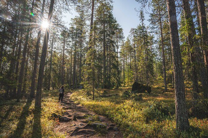 Explore the Wilderness (Summer & Autumn) - Price, Group Size, Pickup, and Weather Reality Check