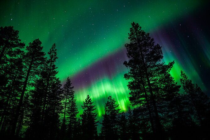 Family-Friendly: Northern Lights Adventure from Rovaniemi - Northern Lights Viewing Tips With a Family-Friendly Guide