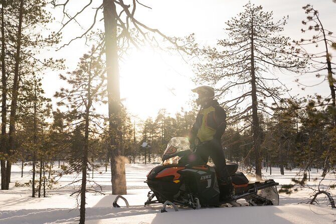 Family Snowmobile Safari in Rovaniemi - Key highlights from this family snowmobile safari