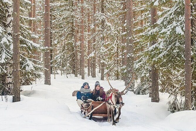 Forest Trail Reindeer Safari - Sliding through the snow: the 2 km reindeer sleigh ride