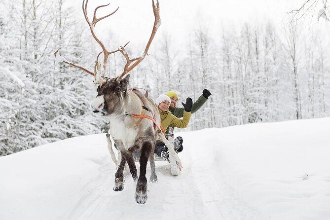 Forest Trail Reindeer Safari - Winter clothes, snacks, and hot drinks: comfort is part of the value