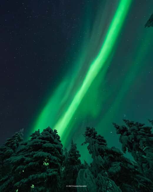 From Rovaniemi: Aurora Borealis Hunting with Photos & Videos - Comfort in remote winter: what to plan around