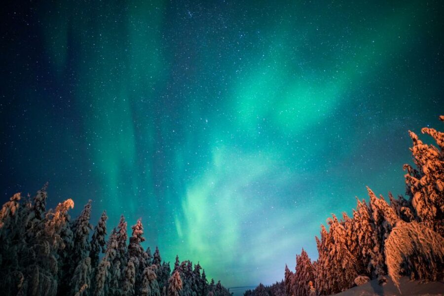 From Rovaniemi: Family-Friendly Northern Lights Tour - From Rovaniemi to the Dark: The Real Value Starts Fast