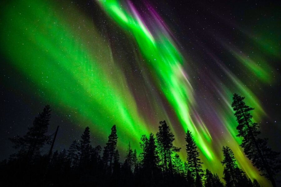 From Rovaniemi: Family-Friendly Northern Lights Tour - The Drive and the Viewing Spot: When Waiting Becomes Part of the Fun