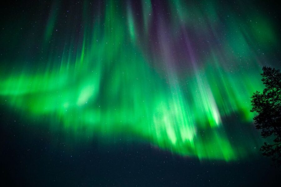 From Rovaniemi: Family-Friendly Northern Lights Tour - Exploring the Snowy Forests (and Why That Part Matters)