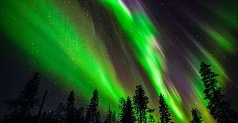 From Rovaniemi: Family-Friendly Northern Lights Tour - The Teepee Campfire Break: The Cozy Center of the Tour