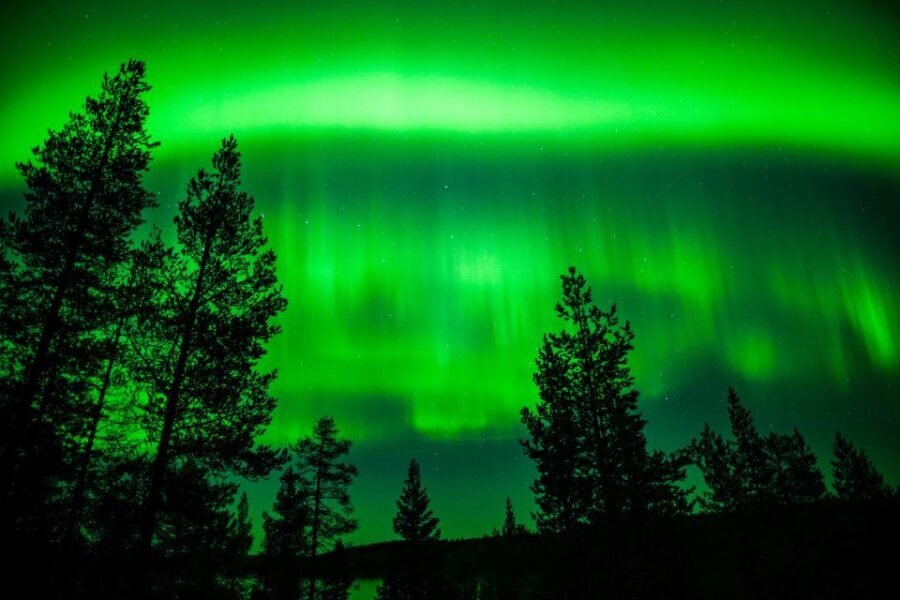 From Rovaniemi: Family-Friendly Northern Lights Tour - Winter Play Options: Sledding Moments You Can Count On