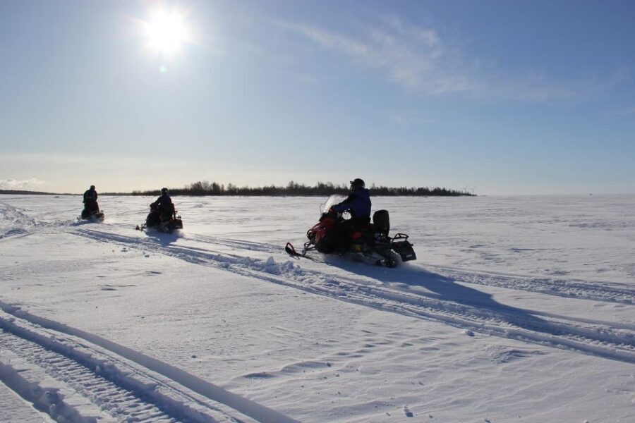 From Rovaniemi: Guided Lapland Snowmobile Adventure - Photo stops, personal pacing, and guides who keep it fun