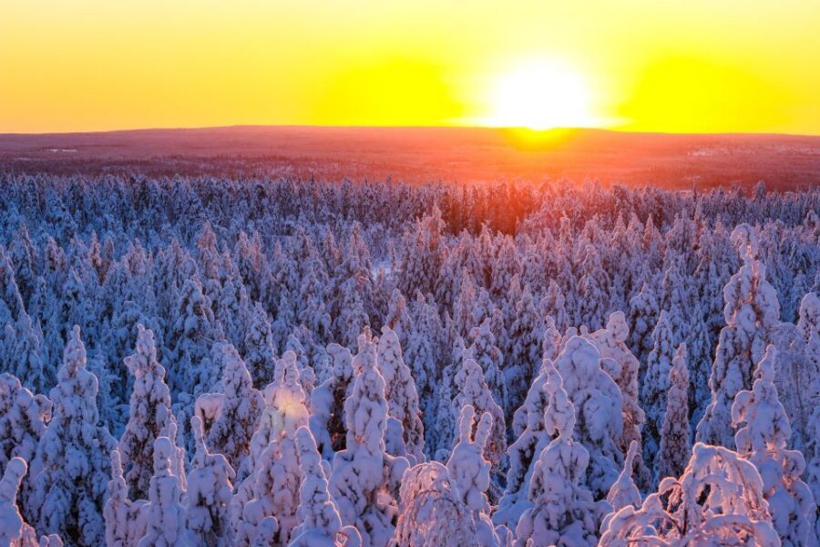 From Rovaniemi: Guided Lapland Snowmobile Adventure - The ride plan: safety talk, then a half-day feeling in one afternoon