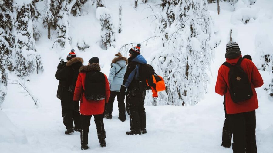 From Rovaniemi: Korouoma & Auttiköngäs Frozen Waterfalls - Who This Tour Is Best For (And Who Should Skip)