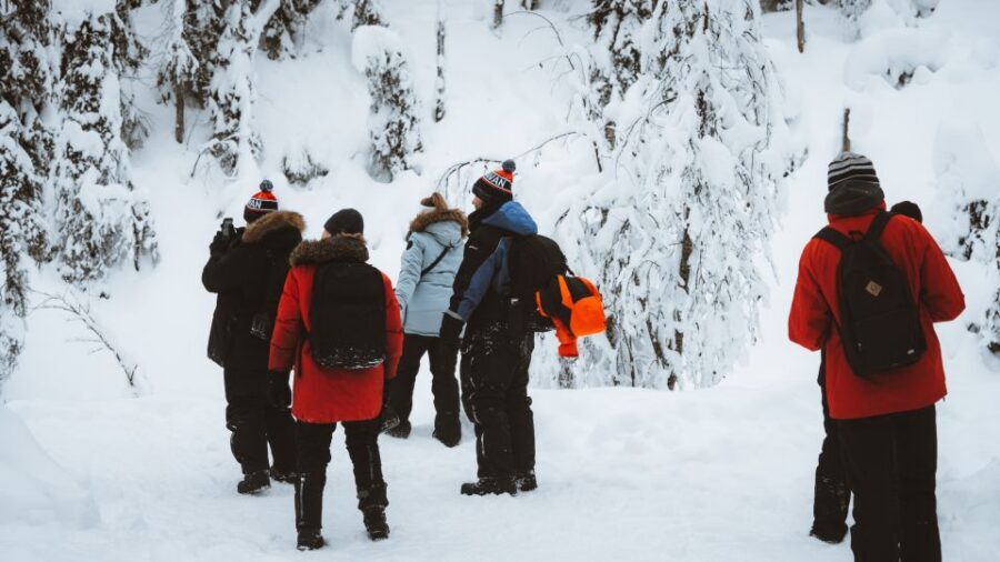From Rovaniemi: Korouoma Canyon and Frozen Waterfalls Tour - What the guide adds: Lapland traditions, nature facts, and small-group calm
