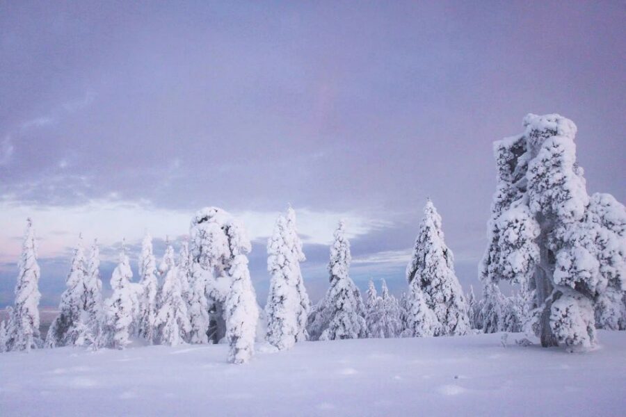 From Rovaniemi: Korouoma Canyon and Frozen Waterfalls Tour - Frozen waterfall viewpoints: what makes Korouoma’s ice special