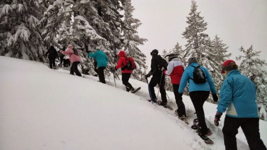 From Rovaniemi: Korouoma Frozen Waterfalls Small-Group Hike - Quick Take: What Matters on This Hike