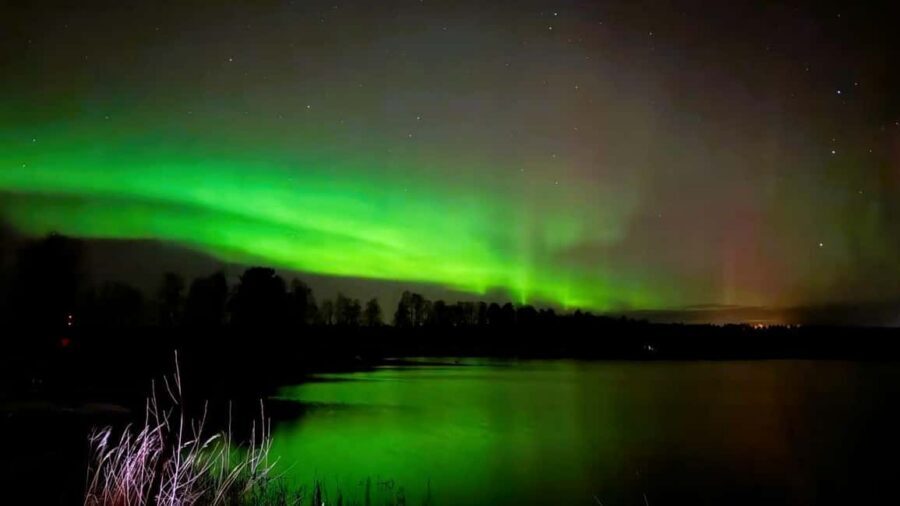 From Rovaniemi: Night Tour in Search of the Aurora with BBQ - Why aurora tours work best when they move (and this one actually does)