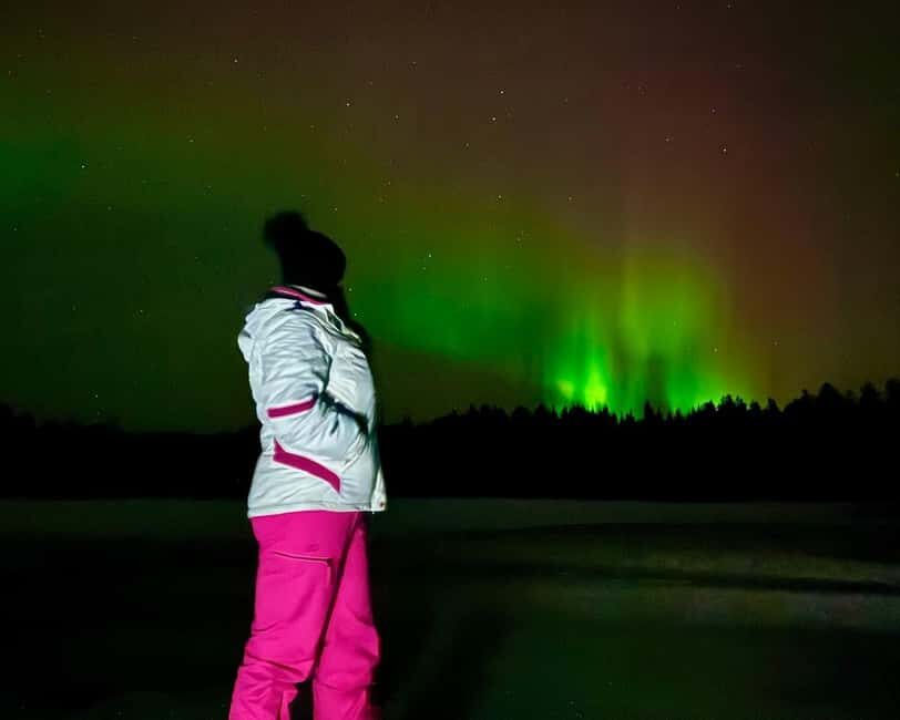 From Rovaniemi: Night Tour in Search of the Aurora with BBQ - Rovaniemi pickup at 19:30: the part you don’t want to mess up