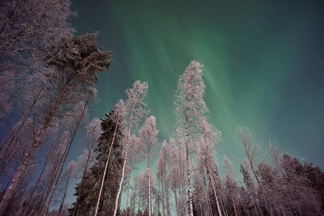 From Rovaniemi: Northern Lights Tour with Campfire Snacks - Key highlights worth caring about