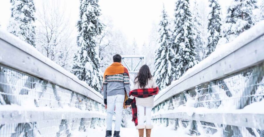 From Rovaniemi: Private Photoshoot in the Lappish Wilderness - Key highlights to look for