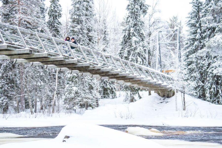 From Rovaniemi: Private Photoshoot in the Lappish Wilderness - Who this private shoot is best for