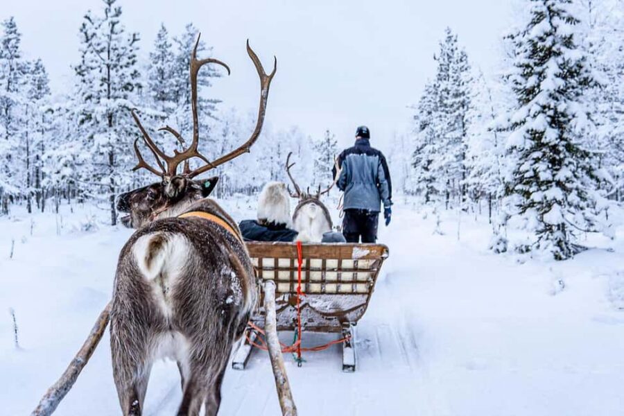 From Rovaniemi: Reindeer Farm Visit with Sleigh Ride - Staying Warm and Comfortable: Clothing, Timing, and Pace