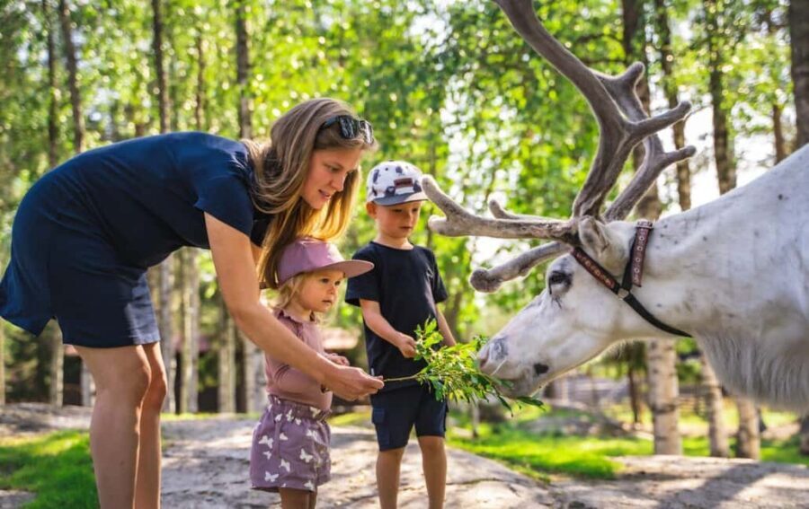 From Rovaniemi: Reindeer Farm Visit with Sleigh Ride - FAQ