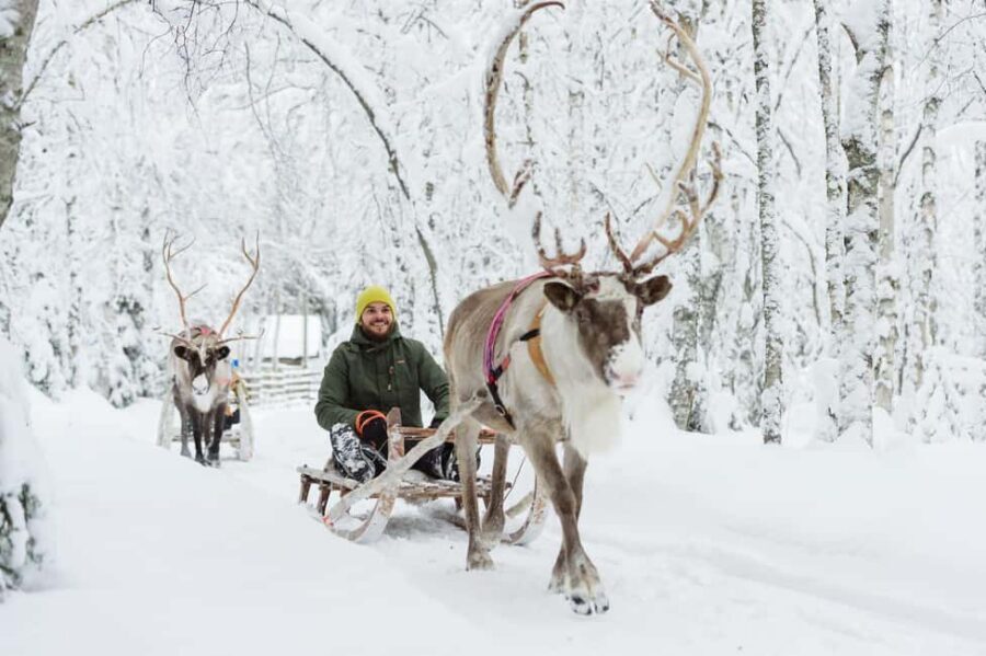 From Rovaniemi: Reindeer Farm Visit with Sleigh Ride - Traditional Wooden Sledge Ride: What You Actually Get