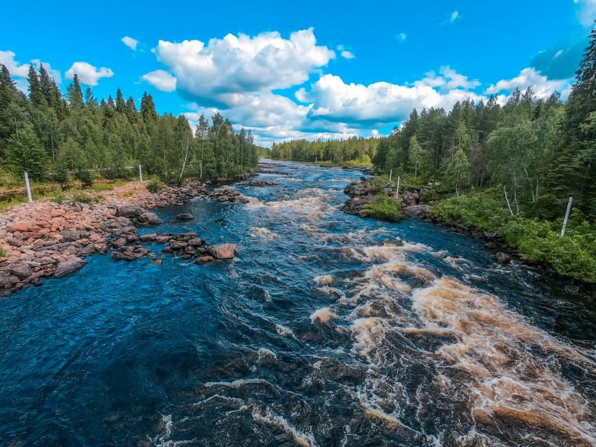 From Rovaniemi: Vikaköngäs Forest Hiking Tour - Why Vikaköngäs feels like a real Lapland escape