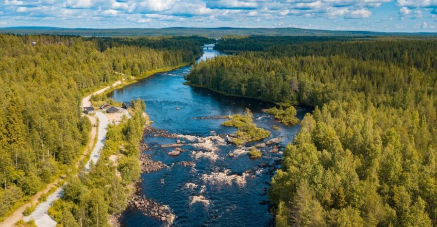 From Rovaniemi: Vikaköngäs Forest Hiking Tour - Rovaniemi pickup and the 2.5-hour reality check