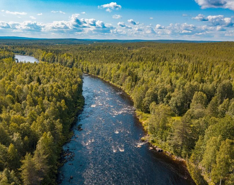 From Rovaniemi: Vikaköngäs Forest Hiking Tour - Weather and timing: what Lapland can change
