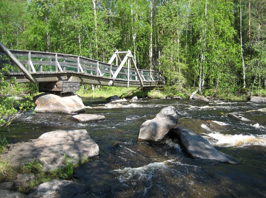 From Rovaniemi: Vikaköngäs Forest Hiking Tour - The guided walk through forest, gorges, and water