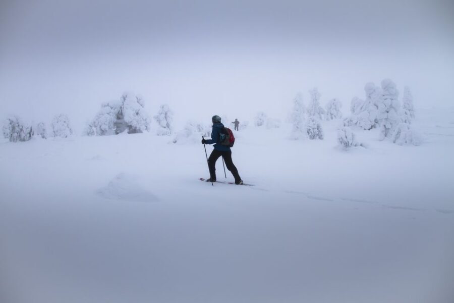 From Rovaniemi: Winter Wonderland Hike with a Hot Drink - Key things to know before you go