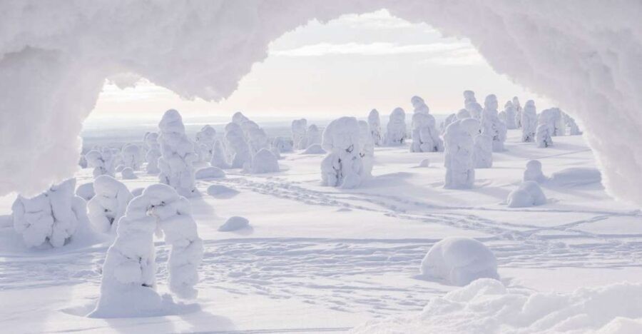 From Rovaniemi: Winter Wonderland Hike with a Hot Drink - Why this 6-hour Lapland hike feels like a moon-walk
