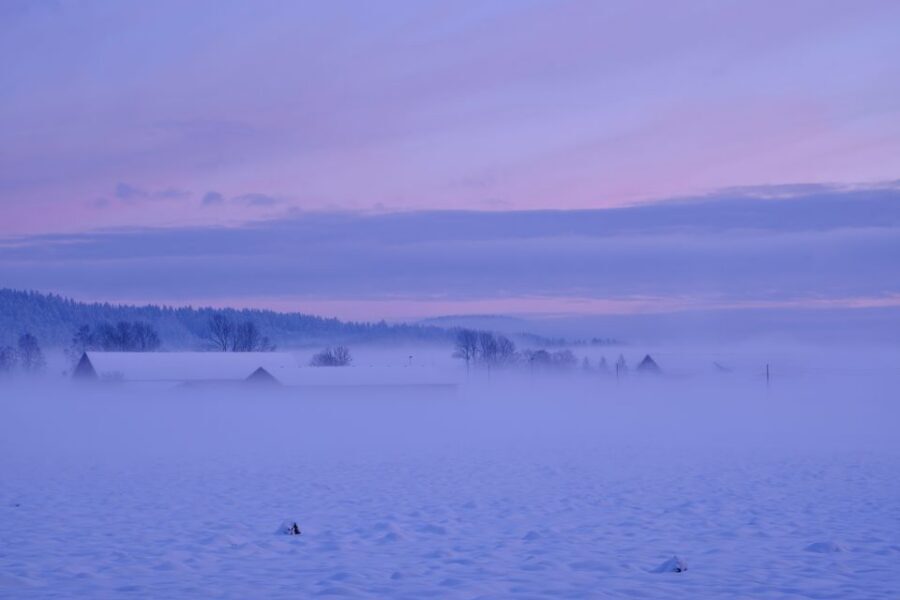 From Rovaniemi: Winter Wonderland Hike with a Hot Drink - On the trail: warm drink, cookies, and that not-too-steep walking pace
