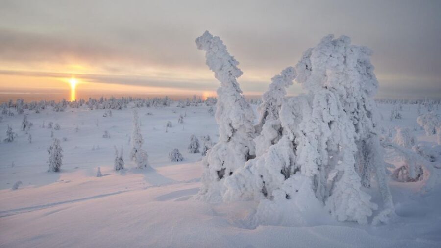 From Rovaniemi: Winter Wonderland Hike with a Hot Drink - Hut stop and the best moments for photos (and why wind matters)