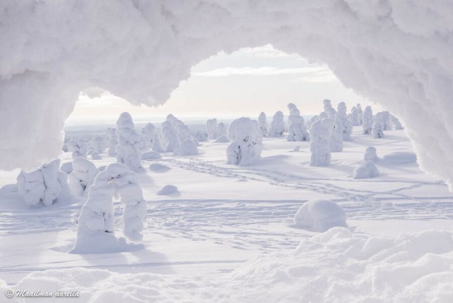 From Rovaniemi: Winter Wonderland Hike with a Hot Drink - Who this hike is best for (and who should skip it)