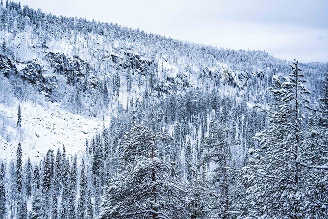 Frozen Waterfalls of Korouoma Canyon tour with Pro Photos & BBQ - Pro Photos and Edited Images: More Than a Sticker on Your Phone