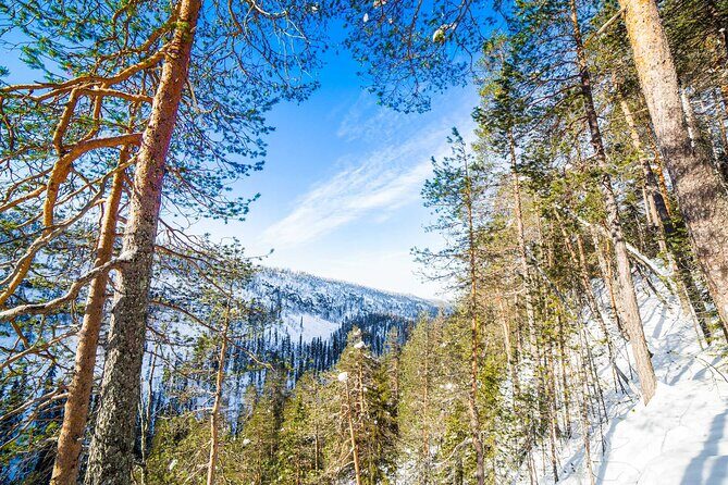 Frozen Waterfalls of Korouoma Canyon tour with Pro Photos & BBQ - Winter Gear That Actually Helps You Move