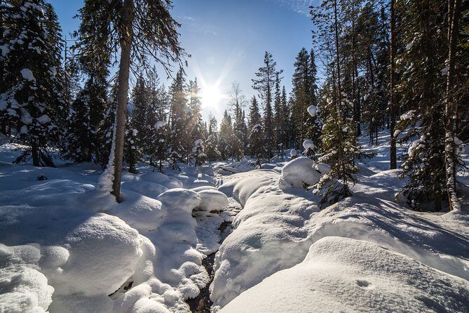 Frozen Waterfalls of Korouoma Canyon tour with Pro Photos & BBQ - BBQ Lunch in the Wild: Simple, Warm, and Very Lapland