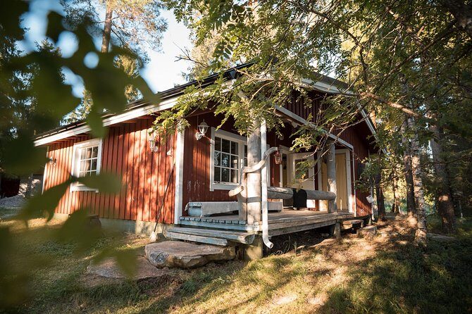Full Day Lapland Tour, including Lunch and Dinner - Ranua Zoo in the Lappish forest: animals plus a real walking pace