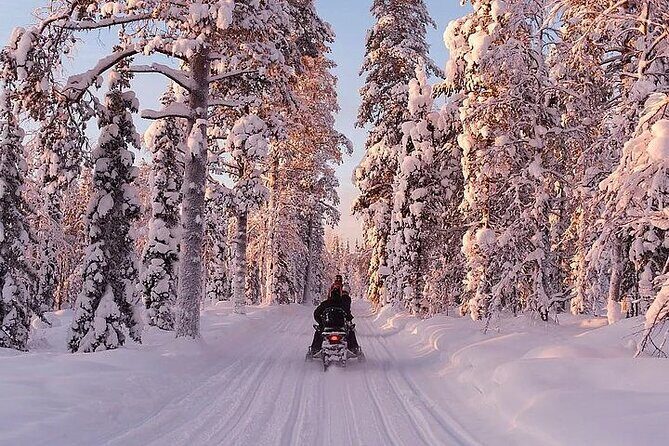 Full Day Snowmobile Safari - What your Arctic Forest route really feels like