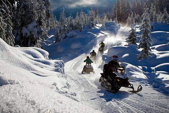 Full Day Snowmobile Safari - Guides, English, and the briefing that sets you up