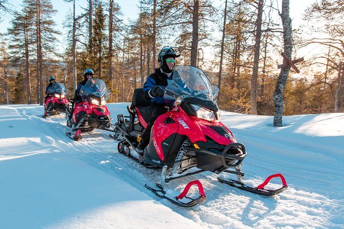 Full Day Snowmobile Safari into the Lappish Wilderness in Rovaniemi - Midday Campfire Lunch: Reindeer Stew, Heat, and Breathing Space