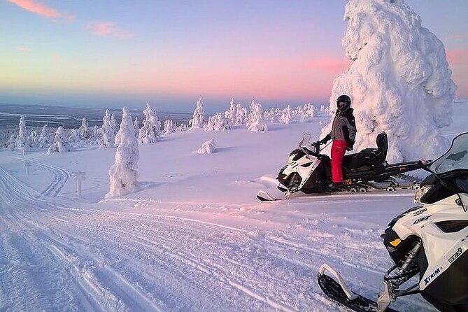 Full Day Snowmobile Safari - Driving setup: licenses, beginners, and how twin riding works