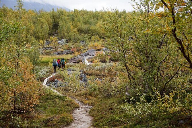 Full-Day Snowshoeing Adventure in Amethyst Mine Pyhä Luosto - Key things that make this day work