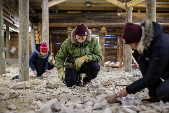 Full-Day Snowshoeing Adventure in Amethyst Mine Pyhä Luosto - Who should book this snowshoe-and-mine day