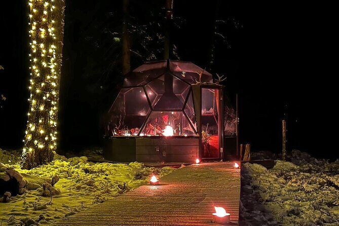 Glass Igloo Campfire Dinner under Northern Lights - Price and value for a 3-hour private aurora evening