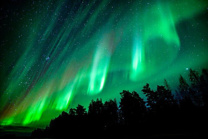Guaranteed Northern Lights Hunting Adventure in Lapland - Why the stops and hot drinks make the hunt feel manageable