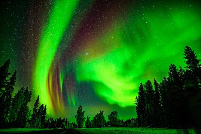 Guaranteed Northern Lights Hunting Adventure in Lapland - Price and value: is $238.85 a good deal?