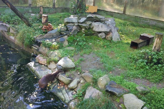 Guided Ranua Wildlife Park tour with Lunch, Small group adventure - Small group size: why it helps on a cold day